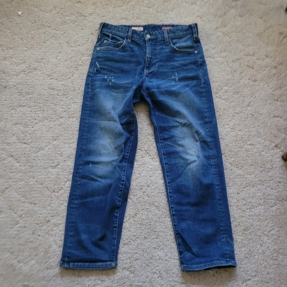 Pilcro the Borrowed Jean - Picture 1 of 7